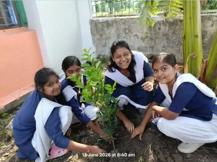 Green Cover Afforestation Drive